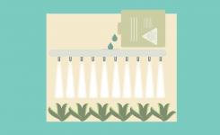 Pesticides