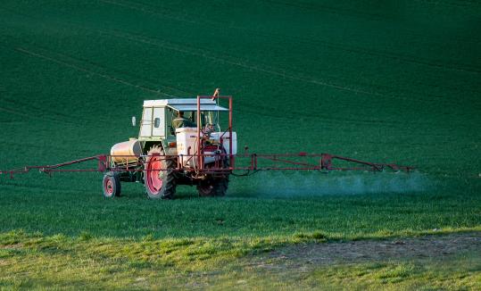 glyphosate